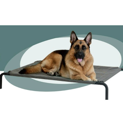 Dog clearance trampoline bed